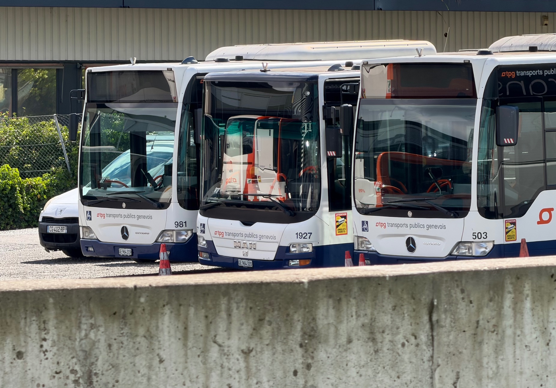 Autobus TPG du patrimoine roulant genevois au dépôt d'Odier, Plan-les-Ouates